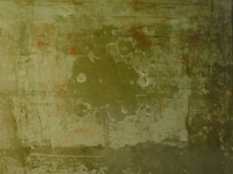 maturist 2004 MARS